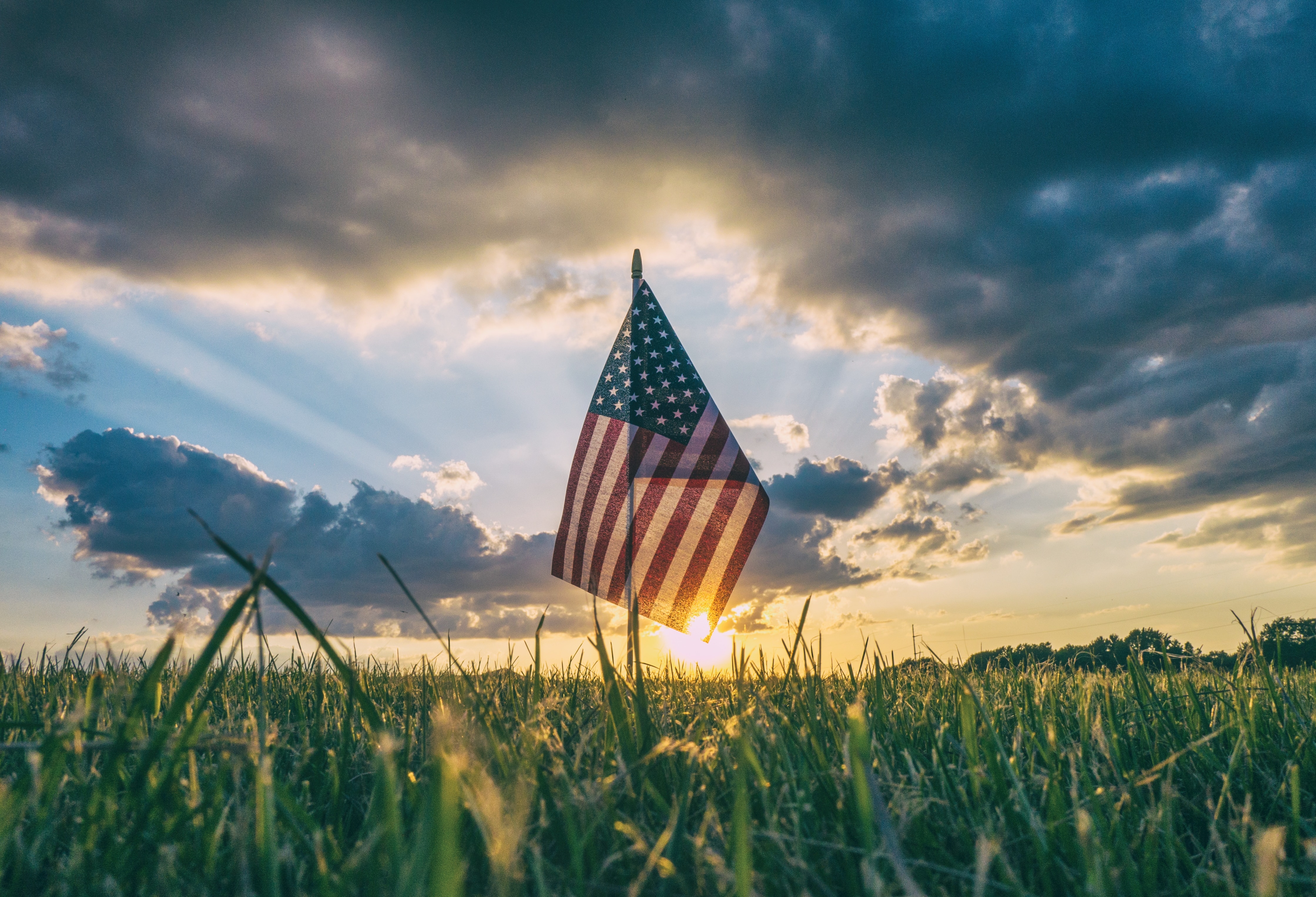 flag in field