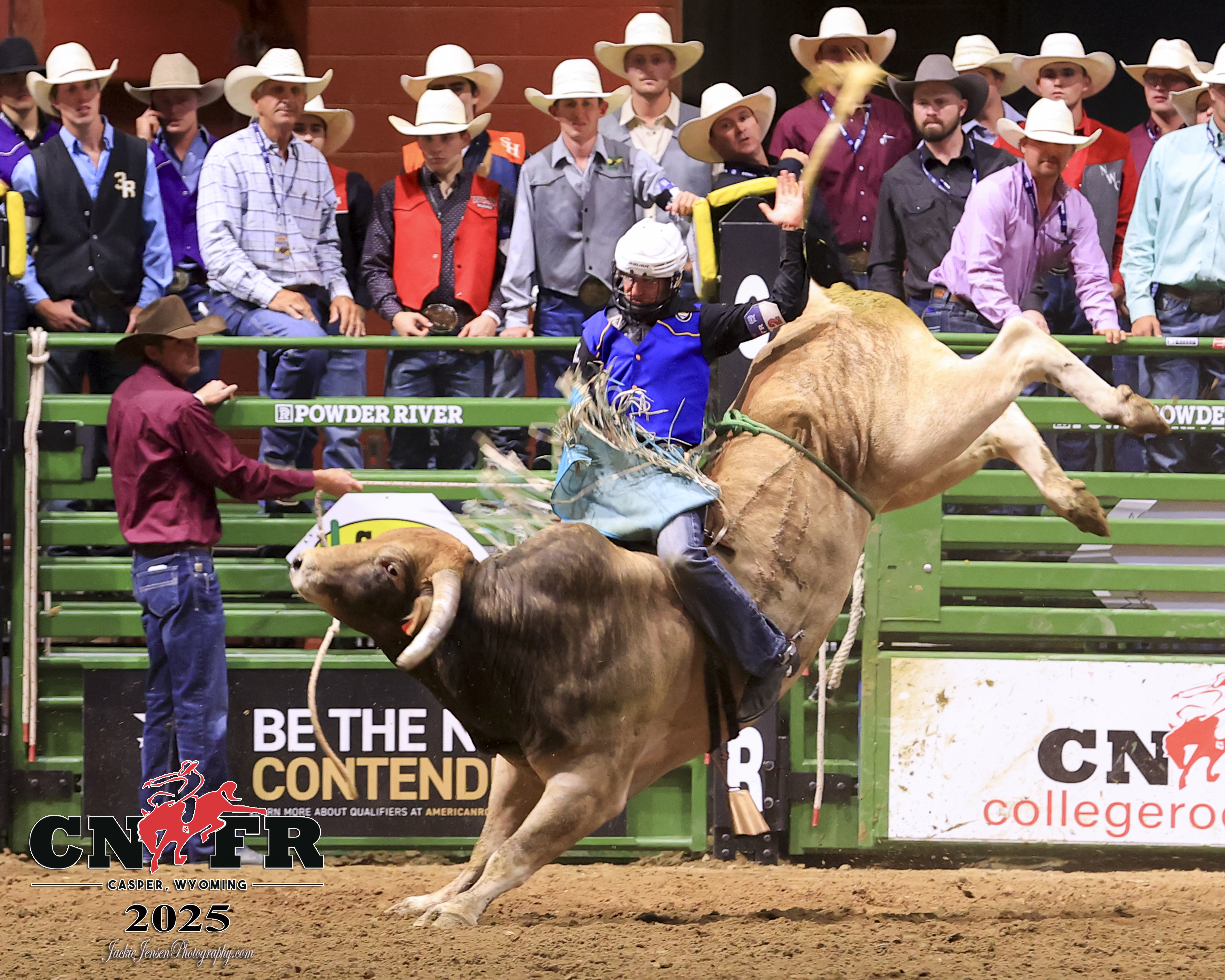 Trace Scarlavai rides Airdozer on the final day of the College National Rodeo Finals. (Jackie Jensen Photography)