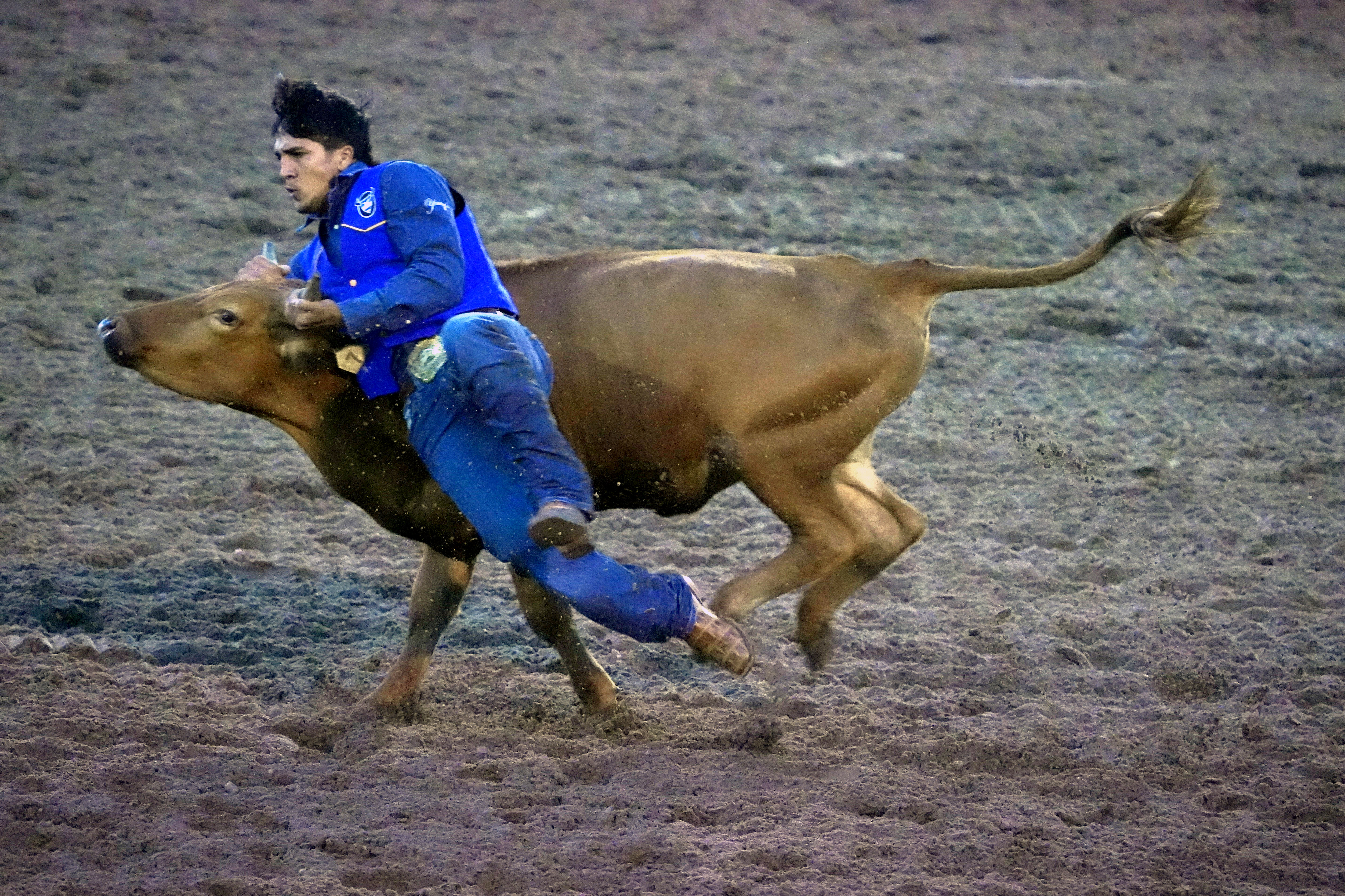 aiden_augustiro_steer_wrestling