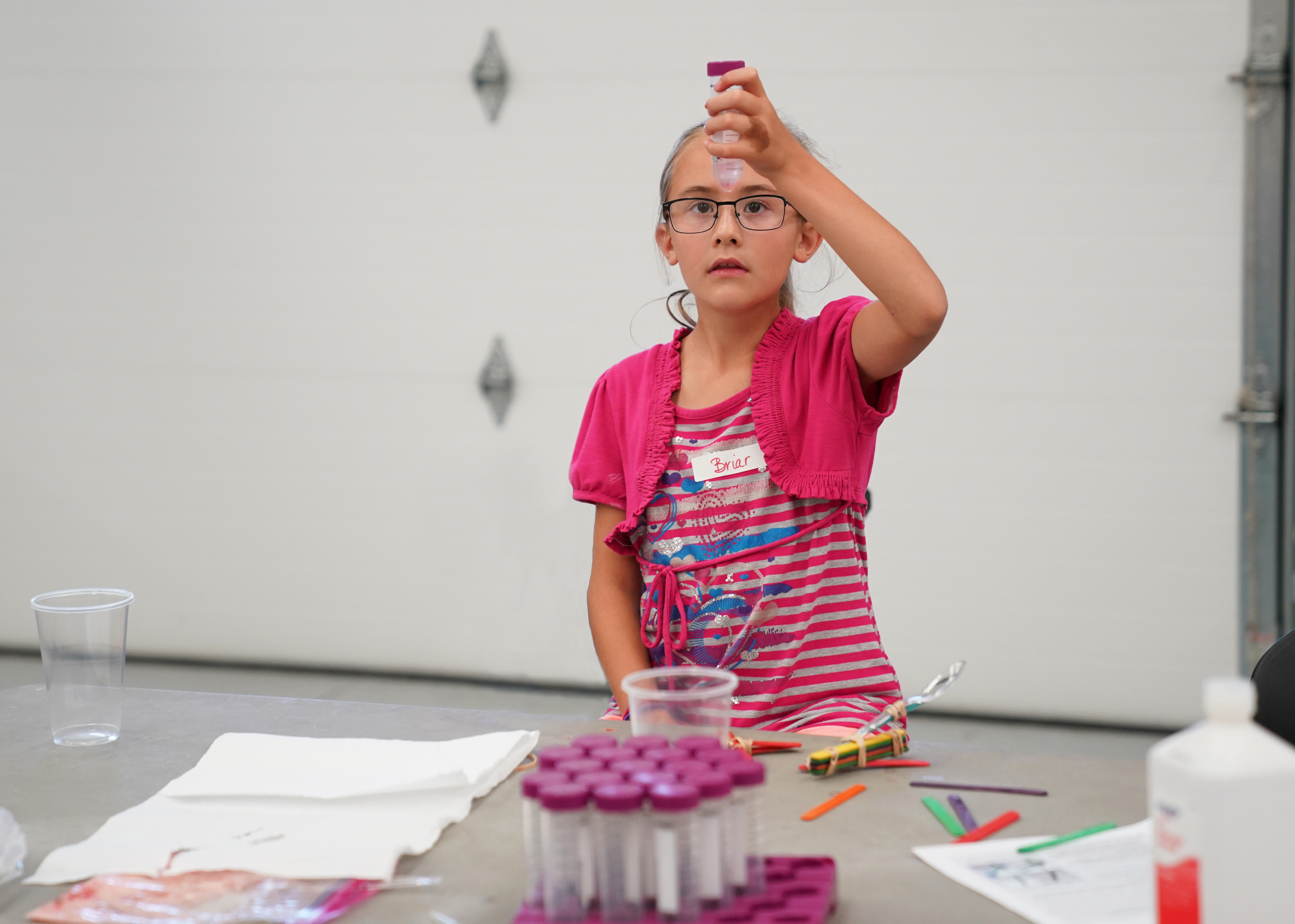 strawberry dna extraction