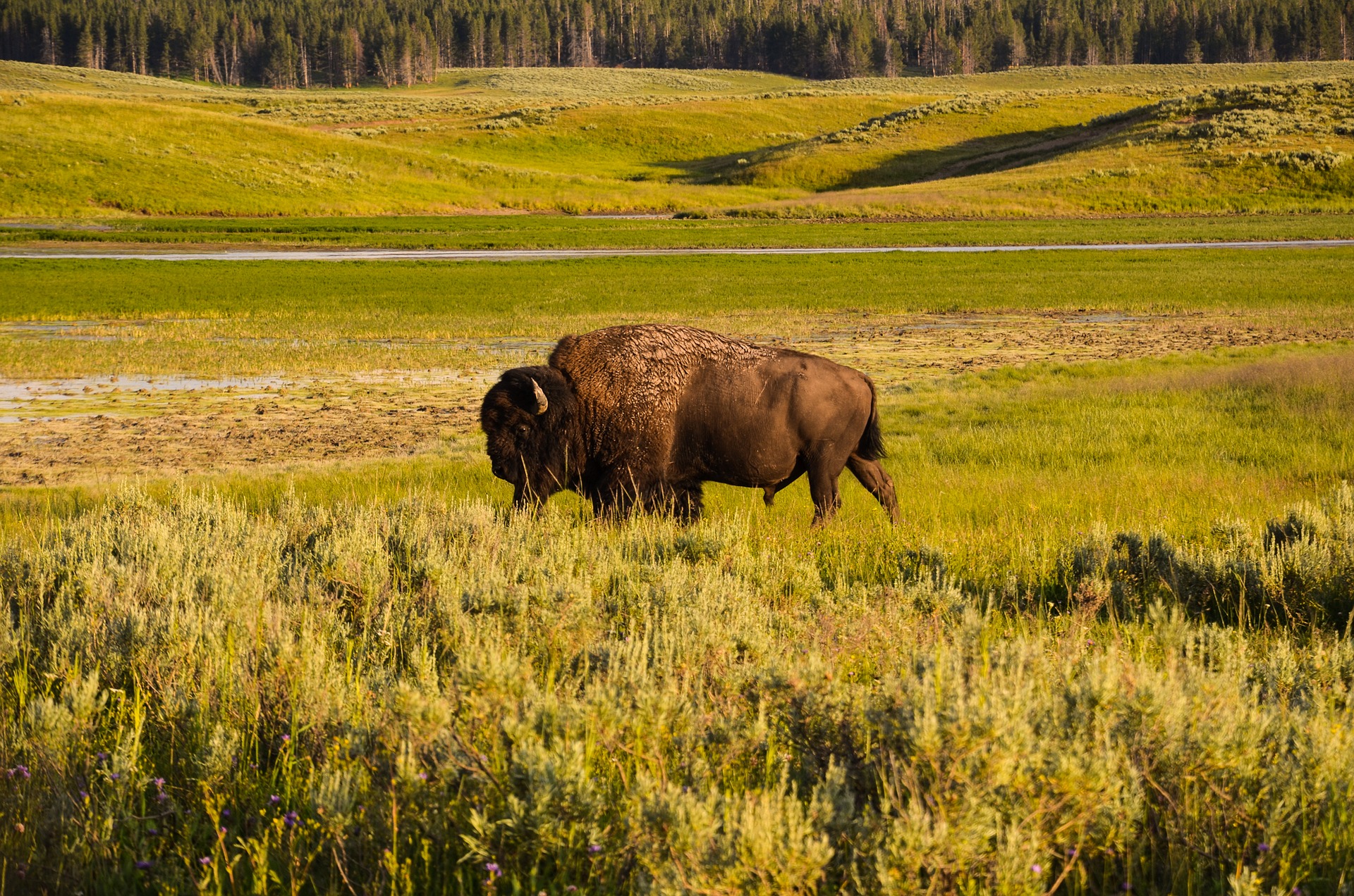 Great Plains