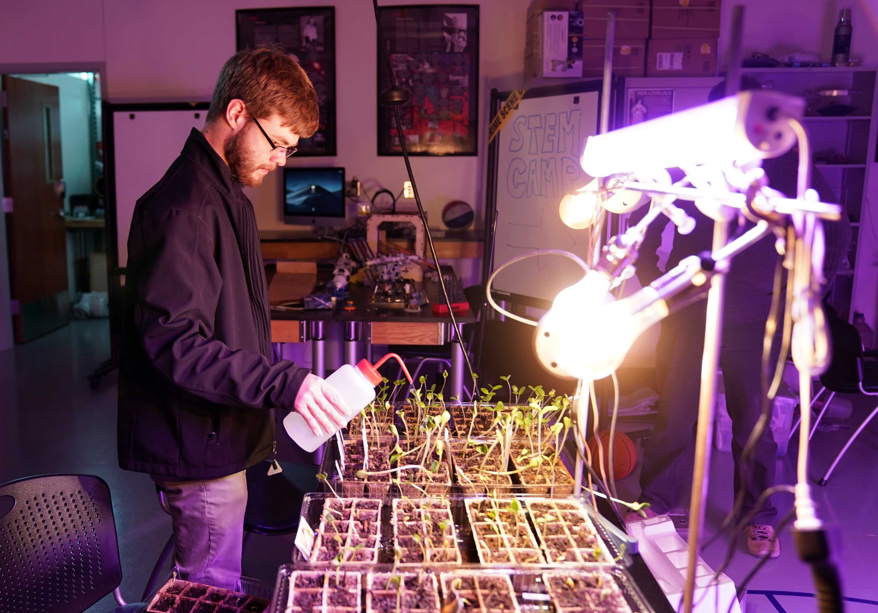 Seedlings