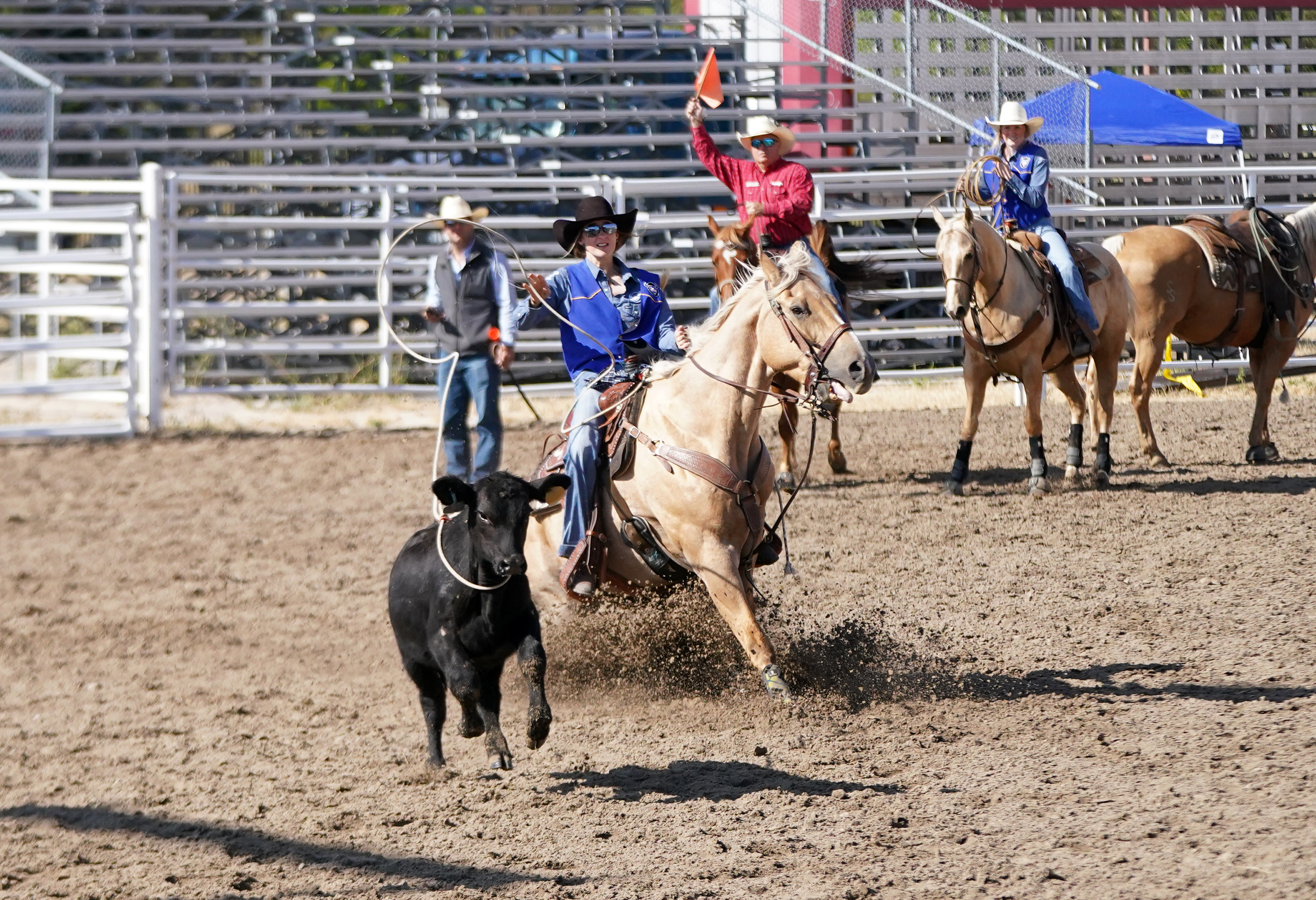 Whitney Jennings Stampede