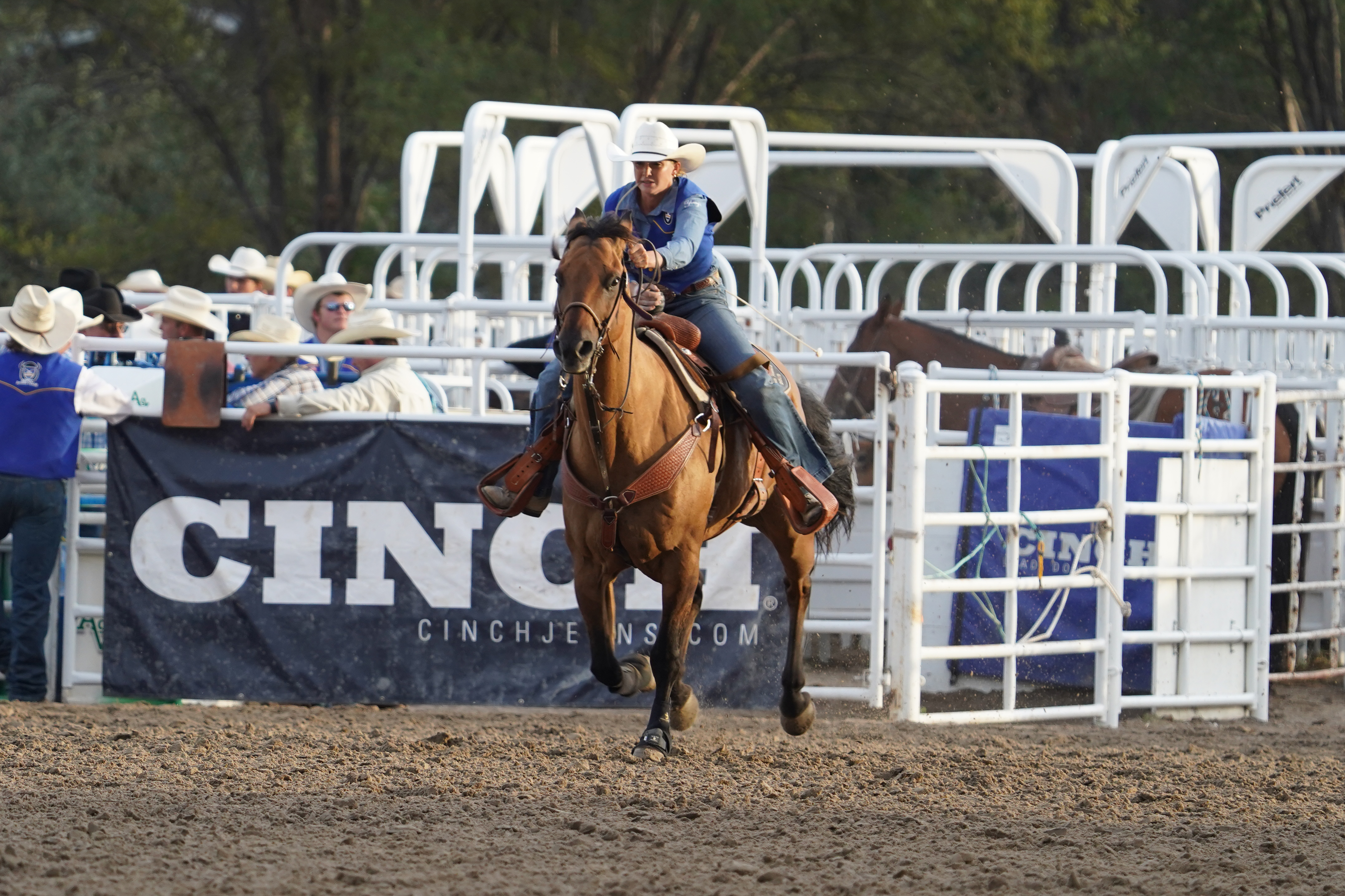 2025 MPCC Stampede Goat Tying