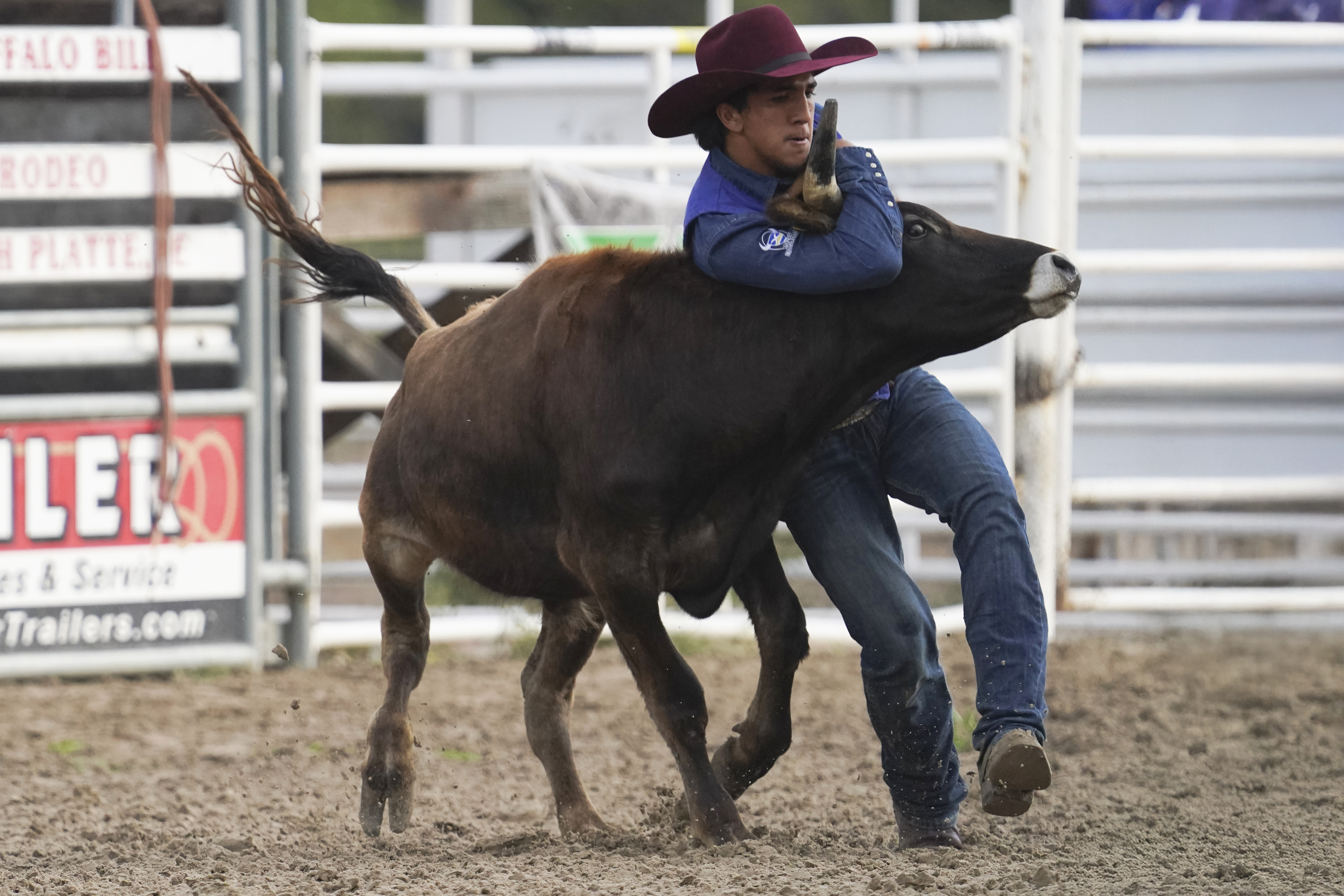 Aiden Augustiro competes in the steer wrestling event at the Mid-Plains Community College Stampede in September. 